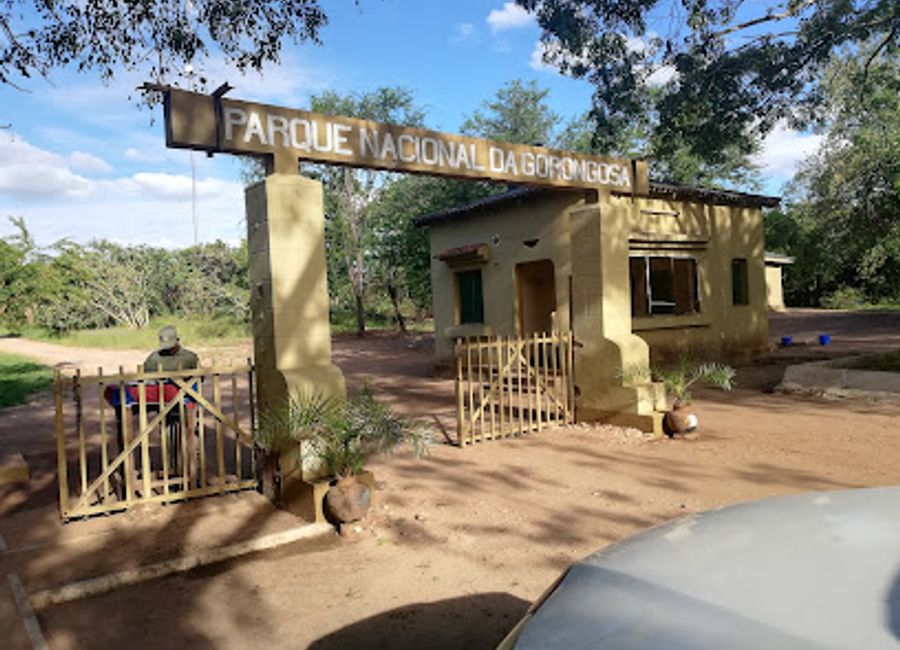 Explore the diverse ecosystems and abundant wildlife of Gorongosa National Park, a breathtaking natural sanctuary in Mozambique.