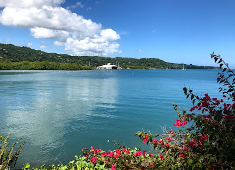 Experience the beauty of Errol Flynn Marina in Port Antonio, Jamaica, where adventure meets serenity in a tropical paradise.