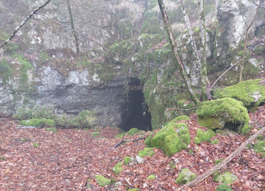 Experience the natural wonder of Jama Velika Šprinčnica, a breathtaking cave in Slovenia, perfect for adventurers and nature lovers seeking tranquility.
