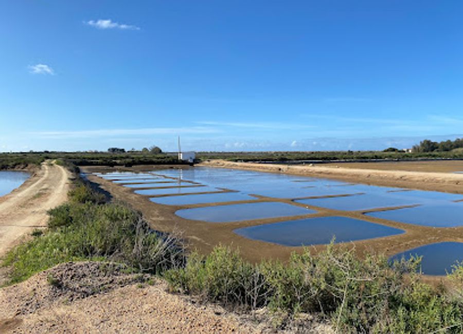 Experience the breathtaking beauty of Faro's coastline with Lands Eco Boat Tours, perfect for birdwatching and kayaking adventures.