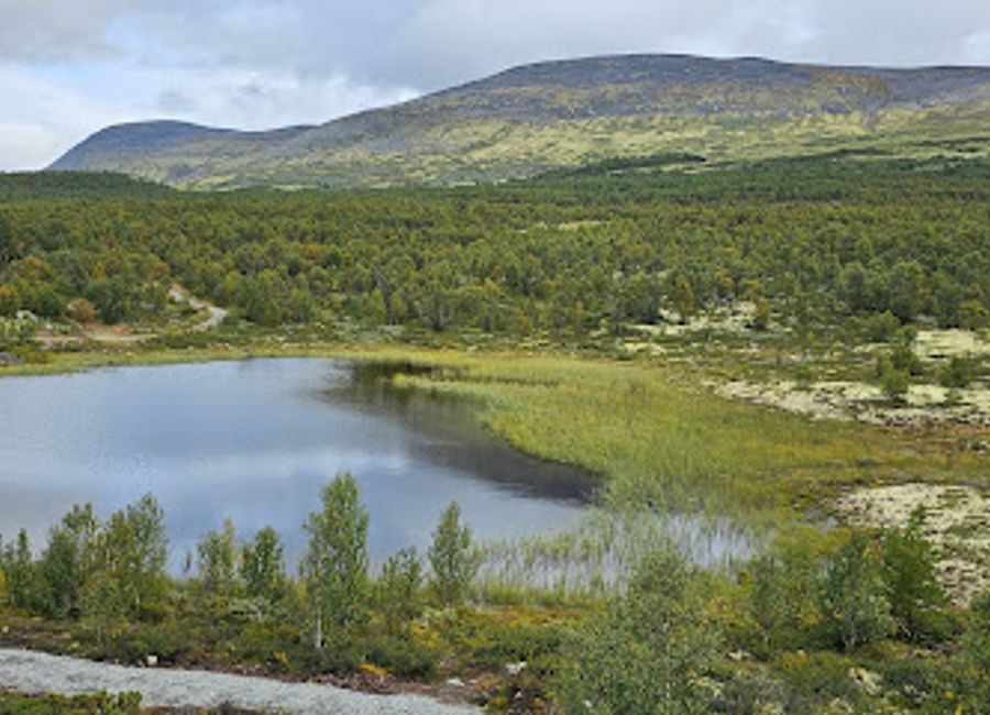 Explore Rullesteinen, a unique natural attraction in Dovre, Norway, renowned for its stunning landscapes and fascinating geological history.