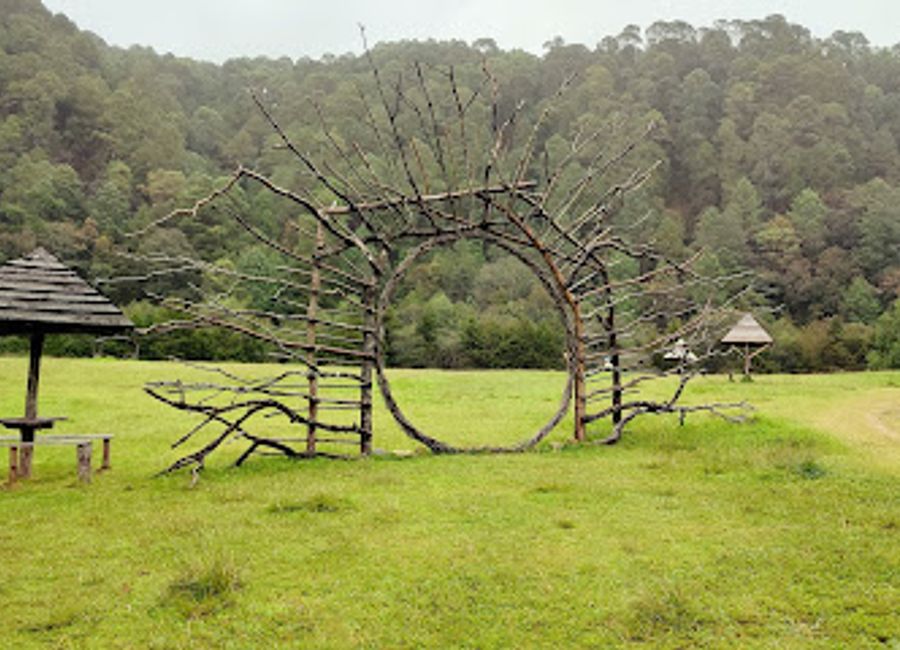 Explore the breathtaking beauty of Parque Natural El Encuentro, a serene park in San Cristóbal de las Casas, perfect for nature lovers and adventure seekers.