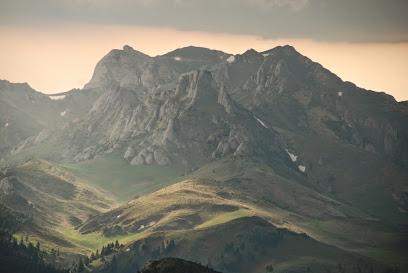 Background