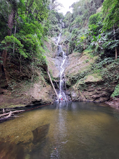 The 10 best shops near Rincon Waterfall (2026 ranked)