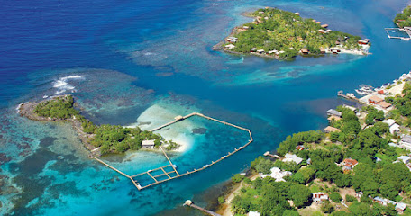 The 10 best restaurants near Roatan Institute for Marine Sciences (2026 ...