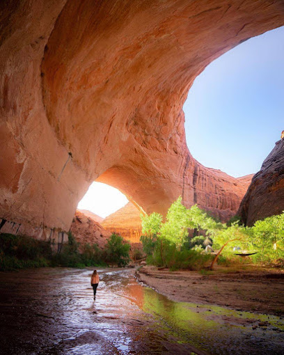 The 10 best landmarks near Glen Canyon National Recreation Area (2026 ...
