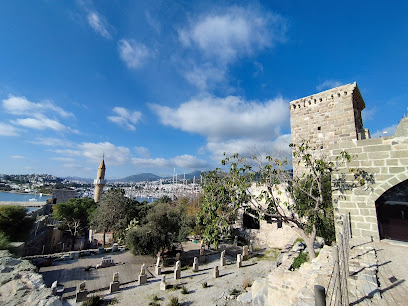 Background