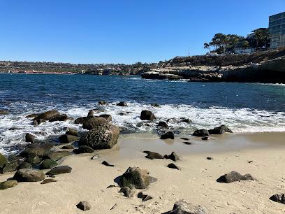 The 10 best attractions near La Jolla Cove Bridge Club (2026 ranked)
