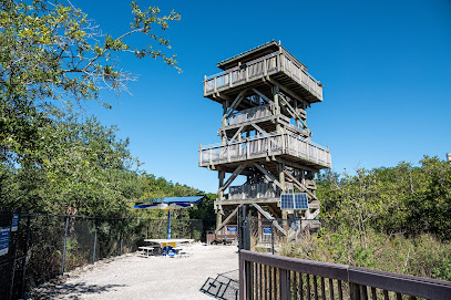 The 10 best attractions near Manatee Viewing Center (2026 ranked)