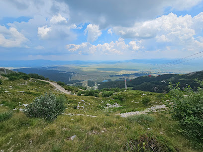 The 10 best bars near Savin kuk Žabljak (2026 ranked)