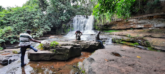 The 10 best shops near Fuller Waterfalls (2026 ranked)