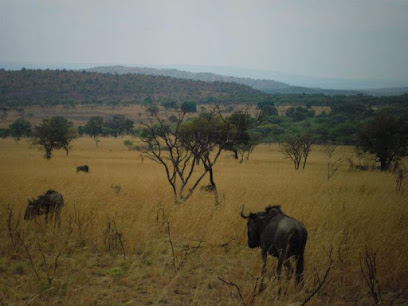 The 10 best attractions near Kamonande Nature Reserve (2026 ranked)