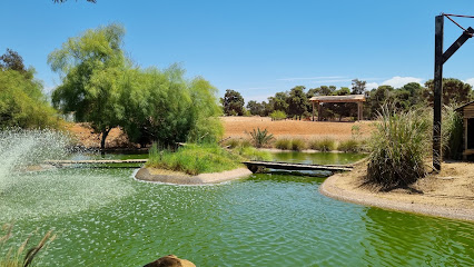 The 10 best landmarks near National Zoo Rabat Morocco (2026 ranked)