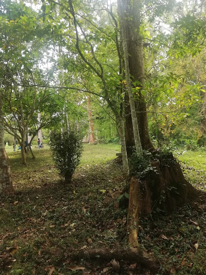 The 10 best attractions near Bunso Arboretum (2026 ranked)