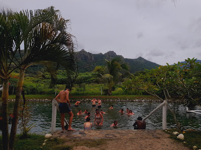 The 10 best bars near Fiji's Hidden Jewels - Nadi Hot Springs & Mud ...