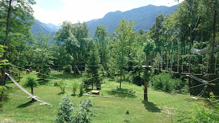 a53bbb2a-4703-4775-b223-