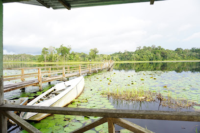 The 10 best attractions near Tasek Merimbun (2026 ranked)