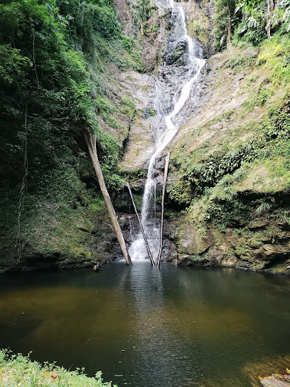 The 10 best shops near Rincon Waterfall (2026 ranked)
