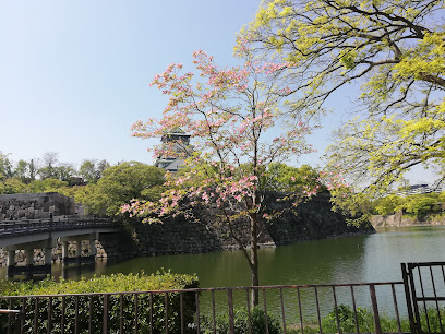 The 10 best landmarks near Forest of Memorial Trees (2026 ranked)