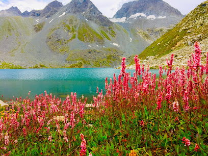 Background