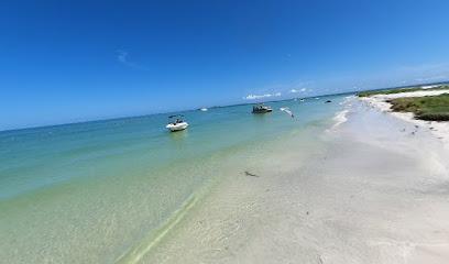 The 10 best attractions near Passage Key National Wildlife Refuge (2026 ...