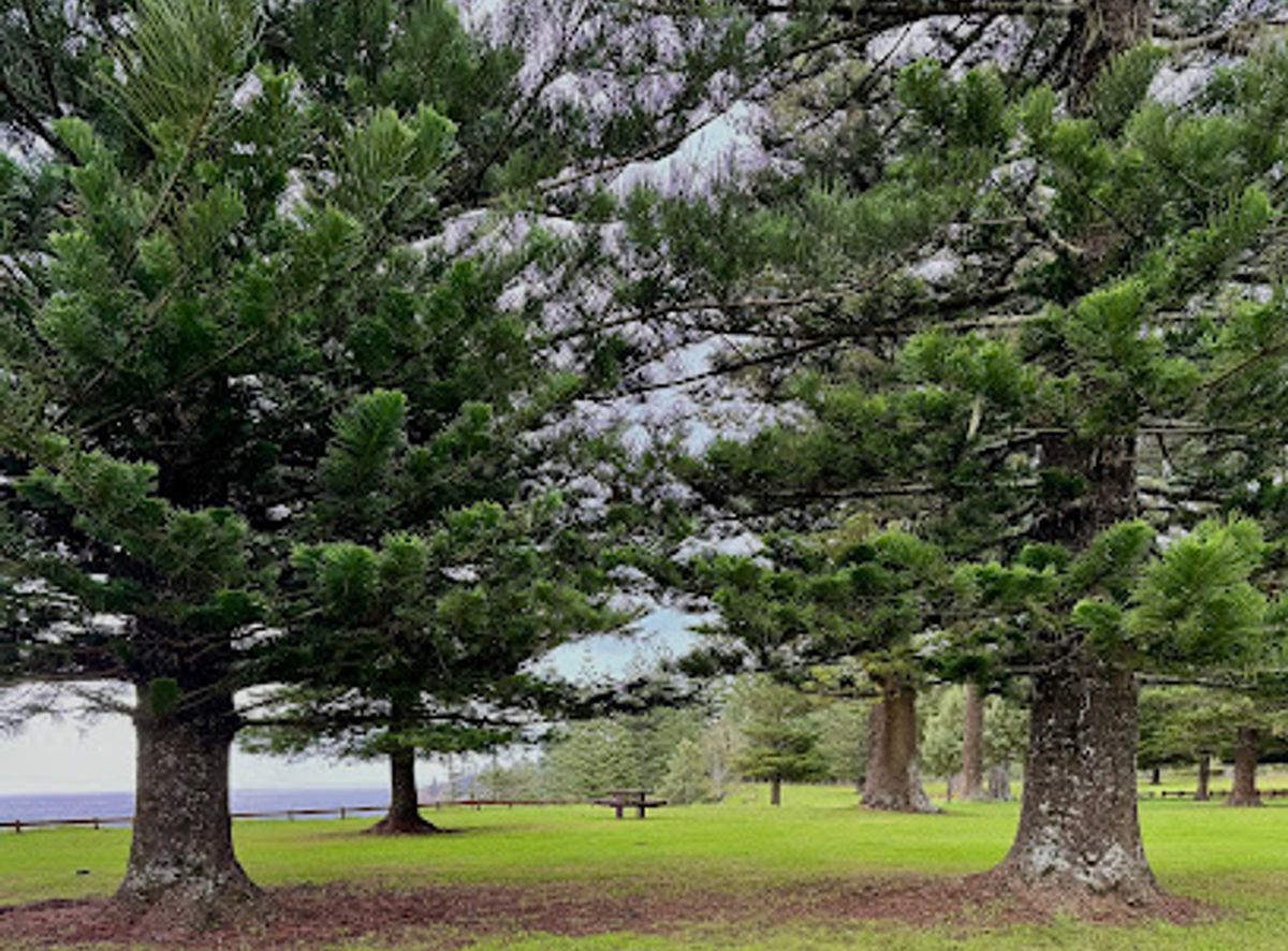 Background