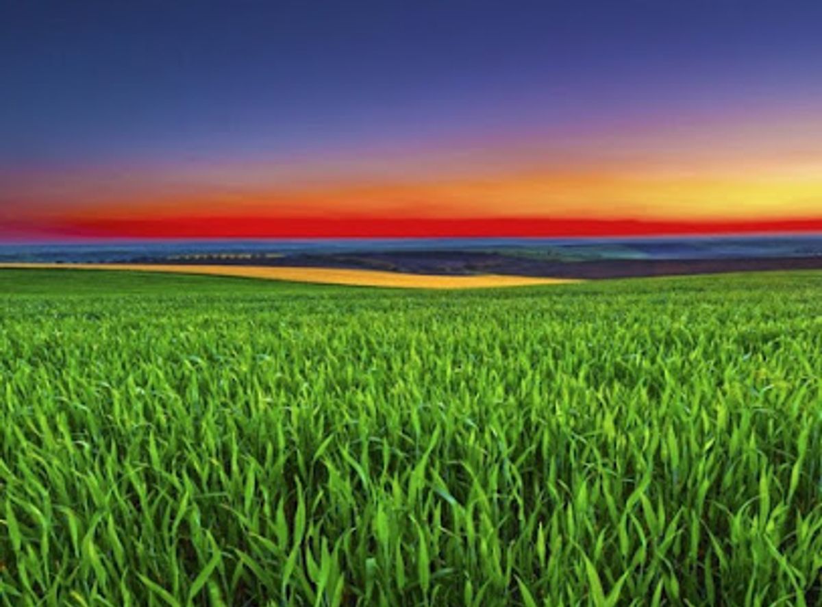 Background