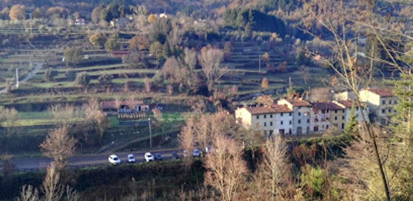 Lanini