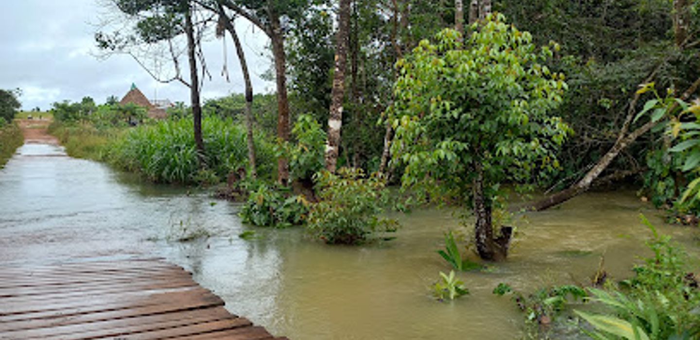Background