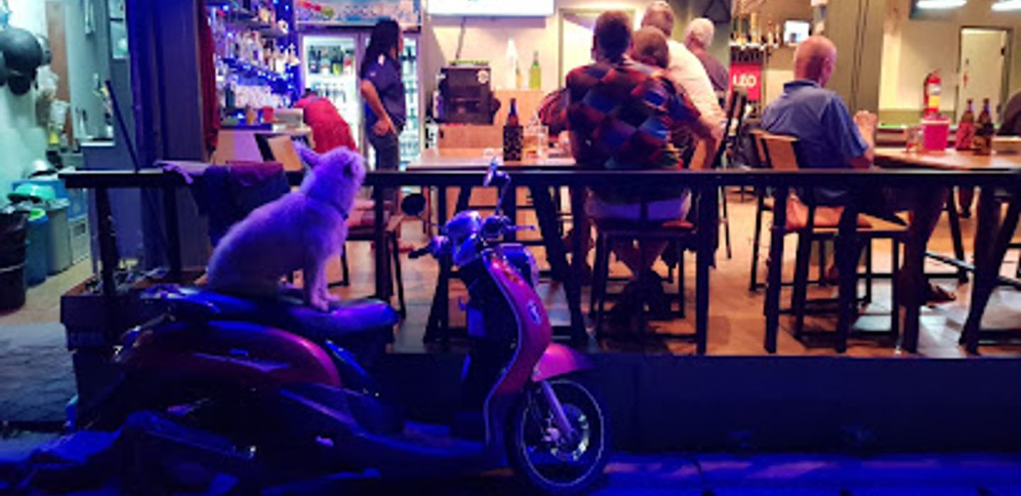 tip top bar