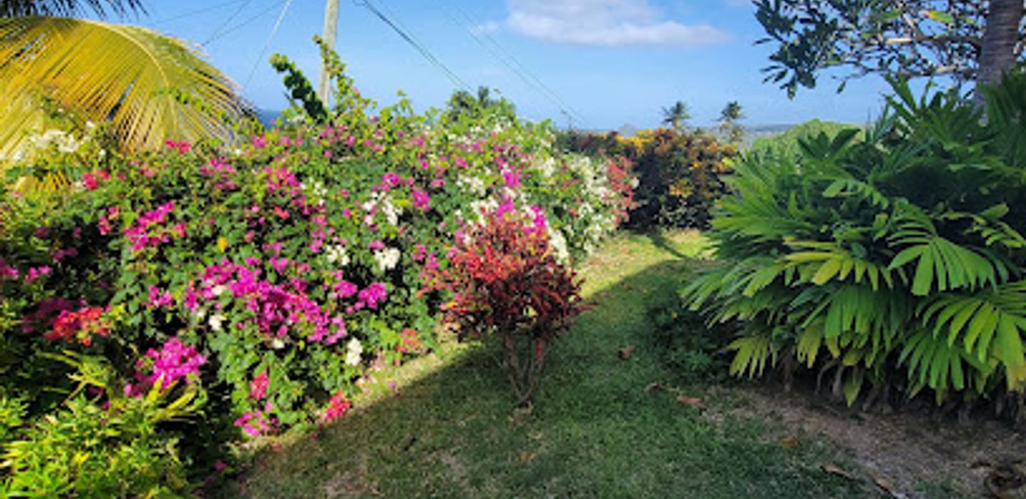 Armadillo Guesthouse & Restaurant