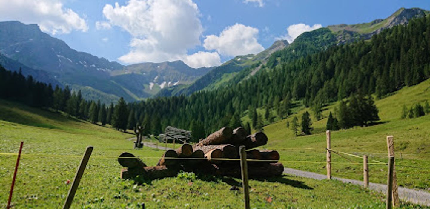 Alp Valüna