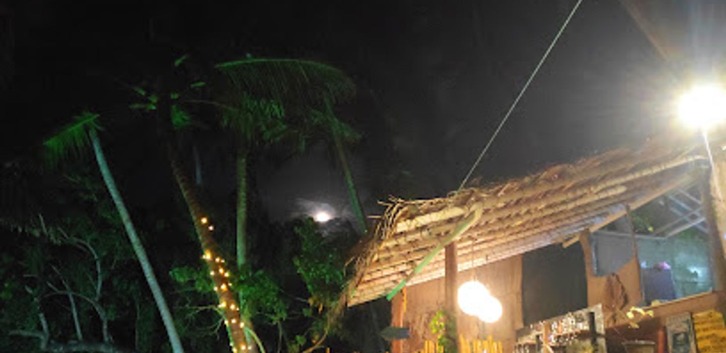 Turtle Bar & Restaurant