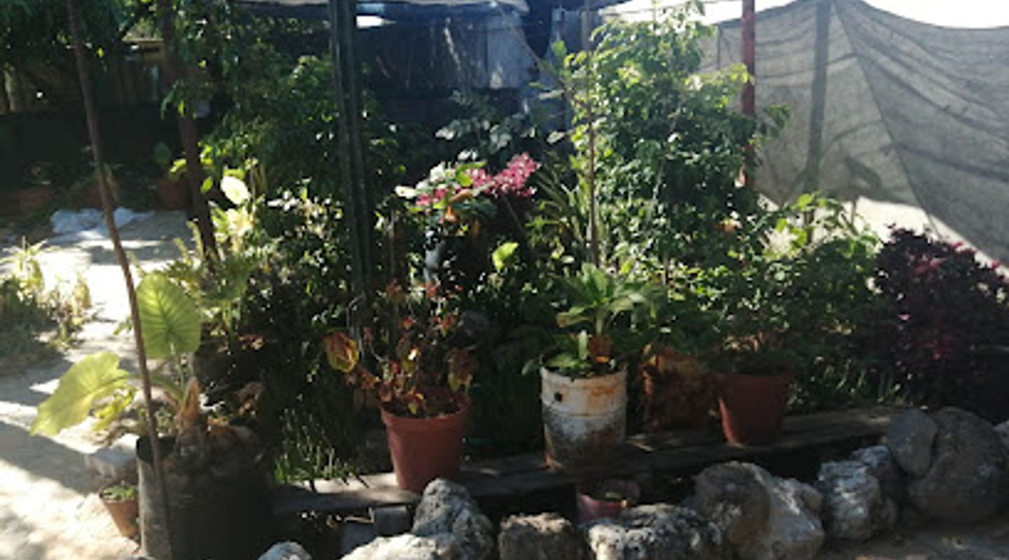 Background