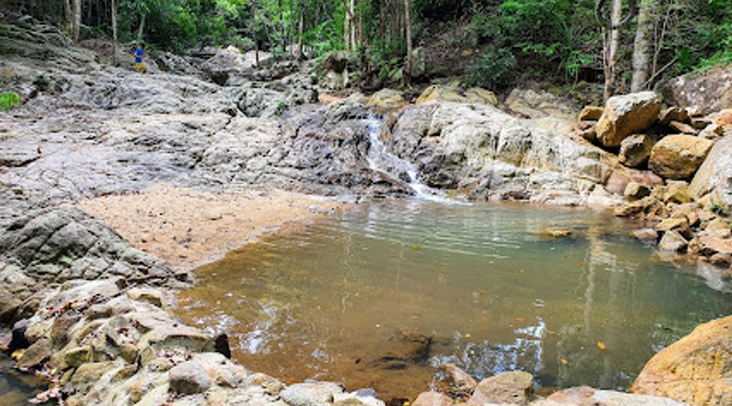 Background