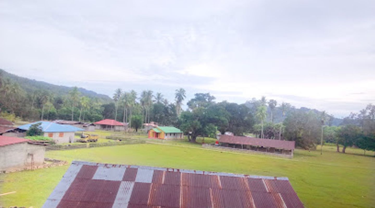 Background