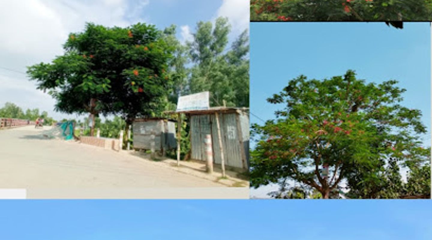 Background