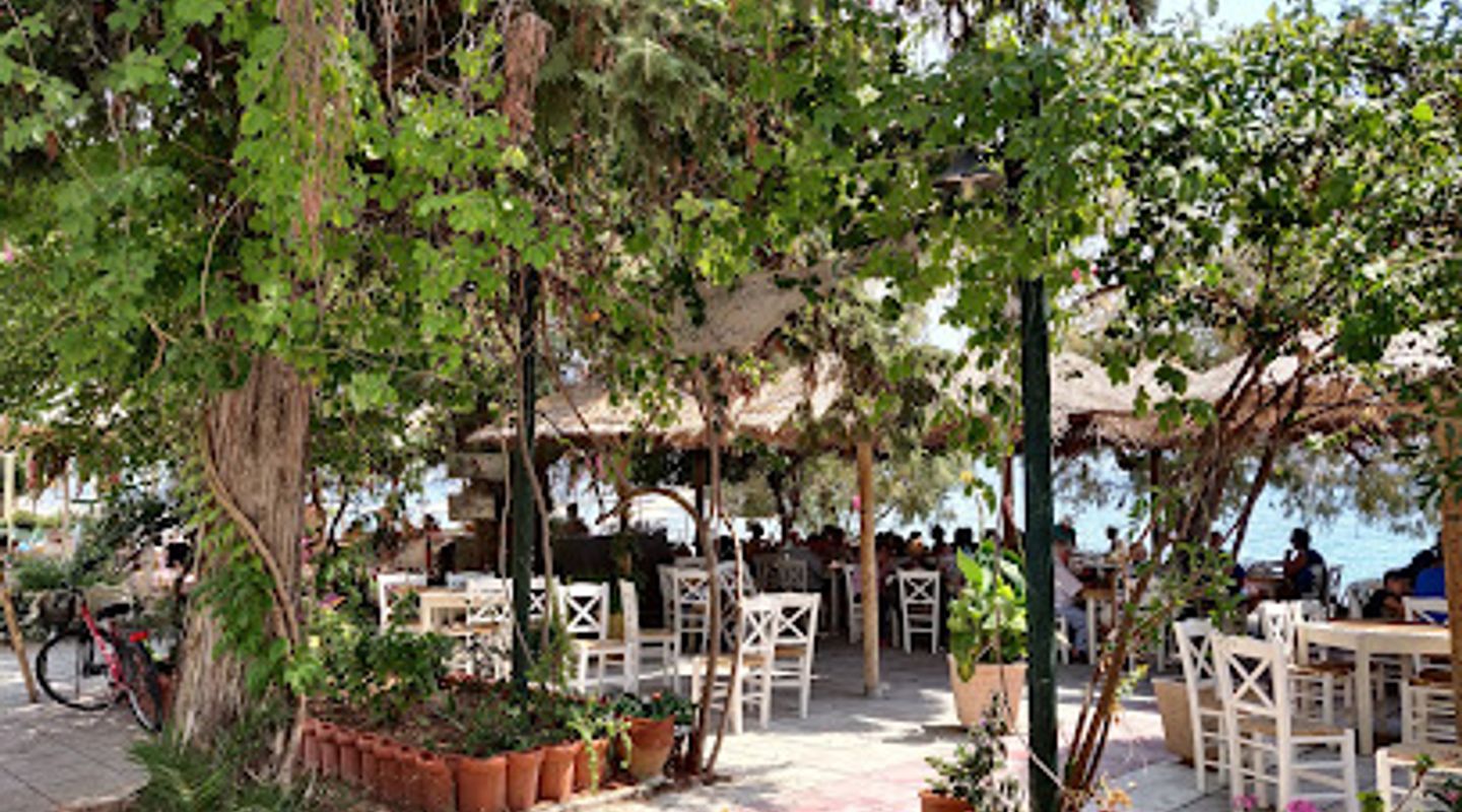 Background