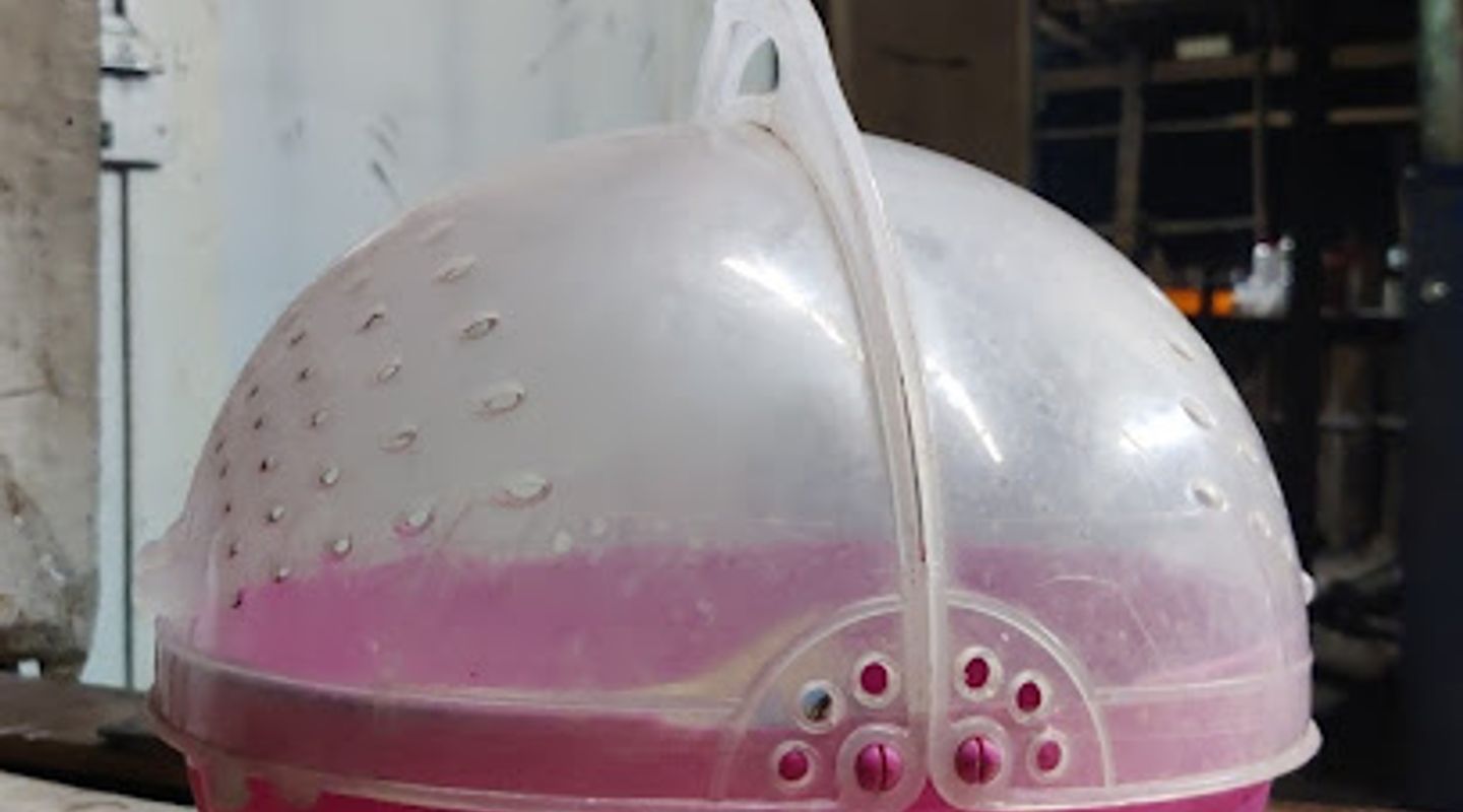 Background