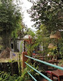 Attraction