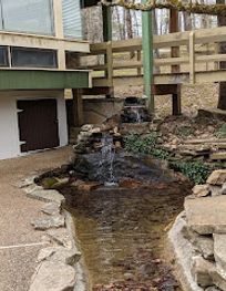 Attraction