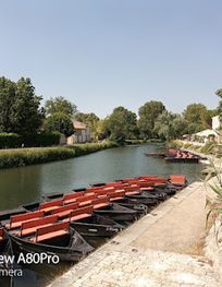 Attraction