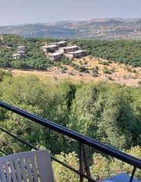 Attraction