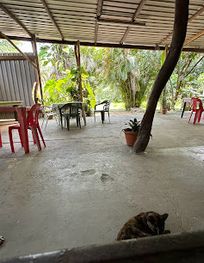 Attraction
