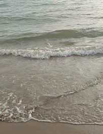 Attraction