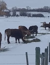 Attraction