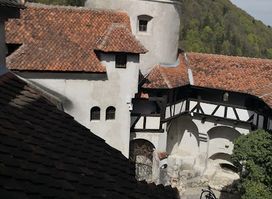 Galeria Bran