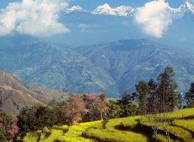 Wilderness Excursion - Helambu Trek