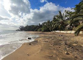 La Baie des Tortues