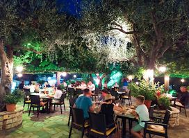 Alex Garden Bar - Restaurant